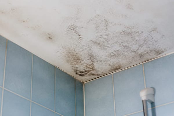 Moisissure plafond salle de bain : causes, nettoyage et prévention